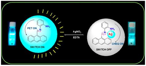 Pharmacological Activities of Schiff Bases and Their Derivatives with ...