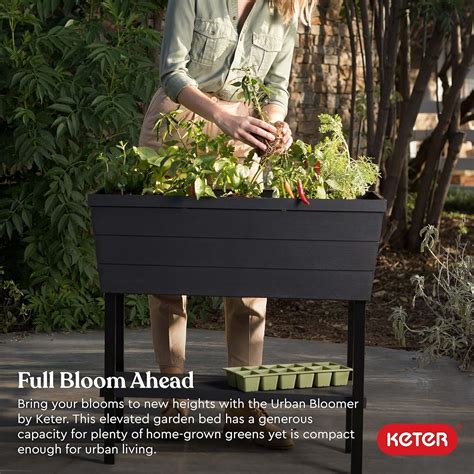 Buy Keter Urban Bloomer 12.7 Gallon Raised Garden Bed with Self ...