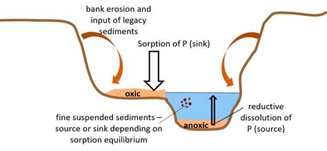 Streambank Legacy Sediments in Surface Waters: Phosphorus Sources or Sinks?