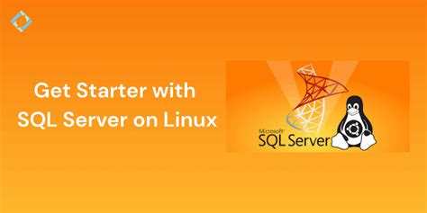 Image result for SQL Management Open Source Linux