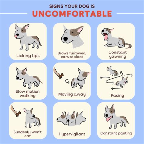 Pupford LLC: 9 Signs your pup is Uncomfortable | Milled