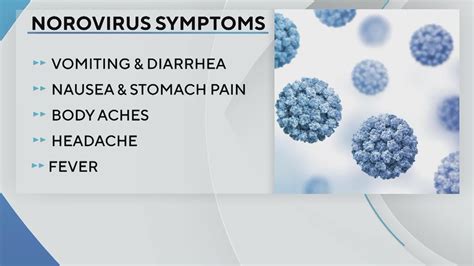 Stomach bug causing sudden vomiting, diarrhea surges in US | wtsp.com