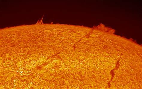 Colorize Solar Lights 的图像结果