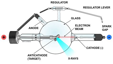 Crookes X-ray Tube Parts Clip Art Image - ClipSafari