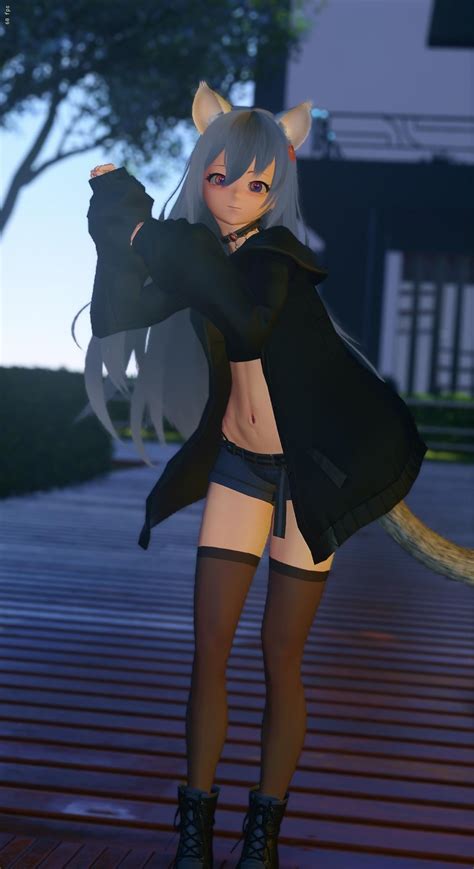 Image result for PSO2 NGS Cats