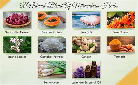 Seer Secrets 100% Natural Ayurvedic Herbal Healing Manual Massager ...