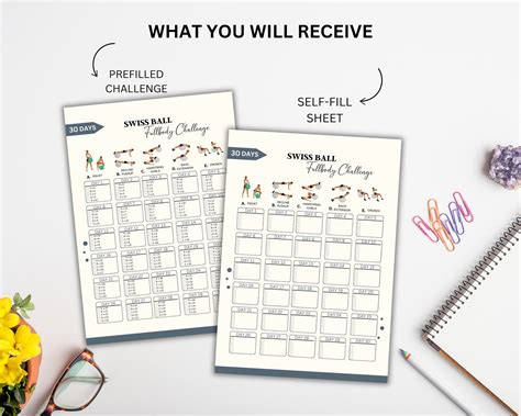 Image result for Stability Ball Challenge