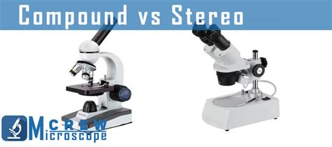 Image result for Compound vs Stereo Microscope