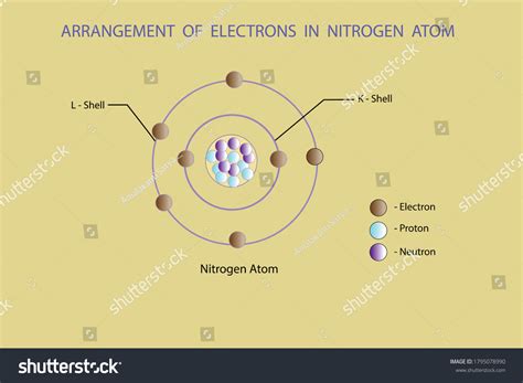 Vector Diagram Arrangement Electrons Oxygen Atom Stock Vector (Royalty ...