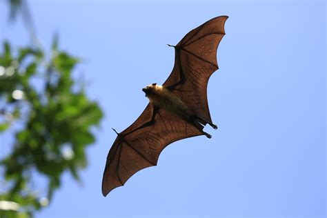 Image result for Bat-File Notepad Automatically On Start Up