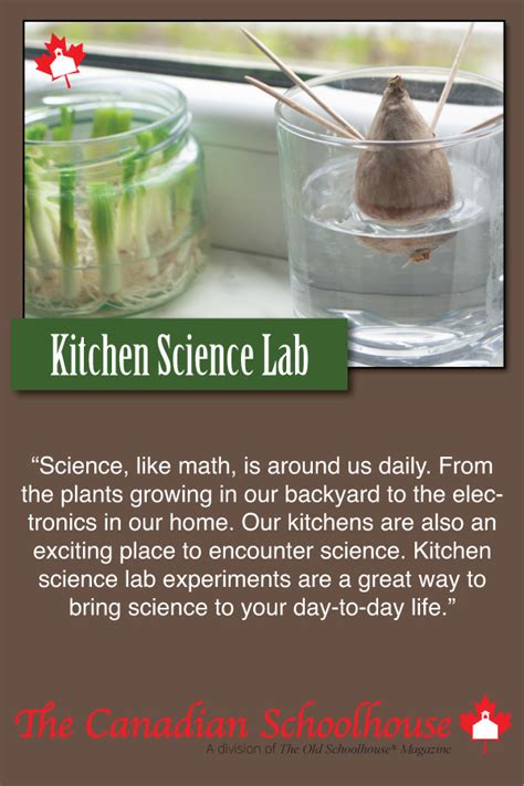 Kitchen Science Lab 的图像结果