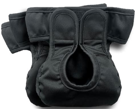 Buy Kitty Bum Bums Reusable Cat Diapers and Stud Pants to Prevent Pee ...