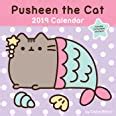 Buy Pusheen the Cat 2019 Wall Calendar Book Online at Low Prices in ...