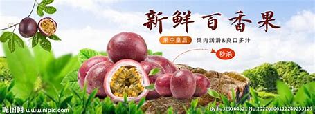 北京水果品牌推广 的图像结果
