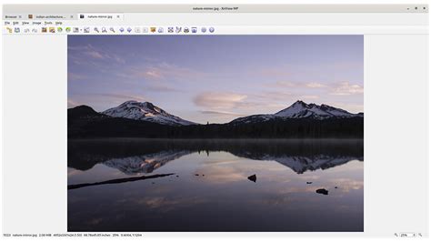 Image result for XnViewMP Logo