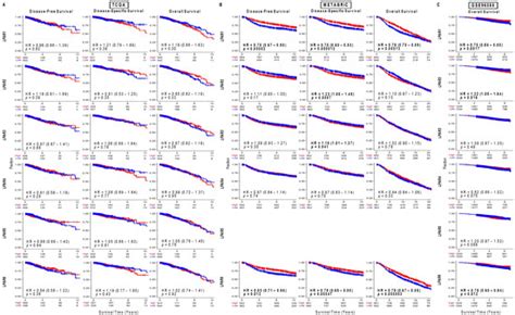 Lysophosphatidic Acid Receptor Signaling in the Human Breast Cancer ...