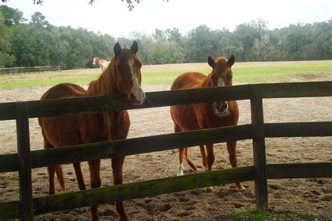 DeShazer Three: Mill Creek Farm