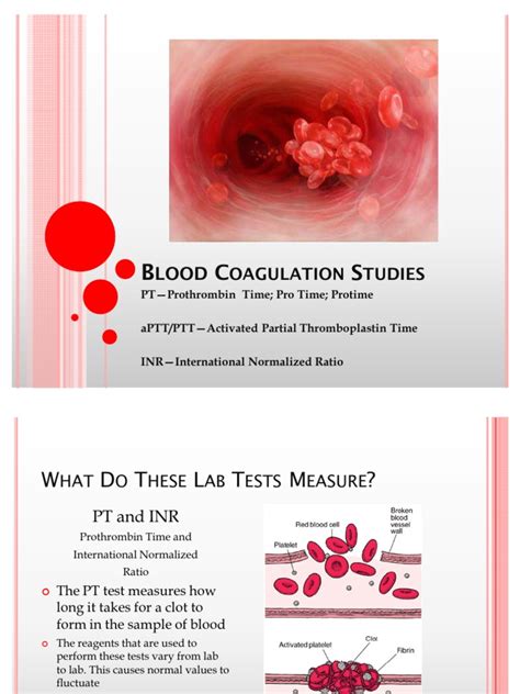 Image result for Coagulation Profile Normal Values