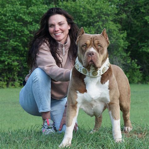 American Bully Growth Chart: How Big Can Your Bully Grow?