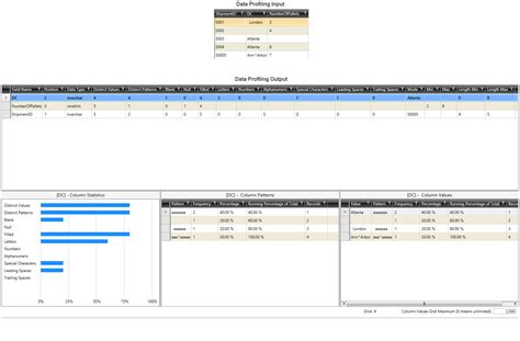 Image result for Table Data Profiling