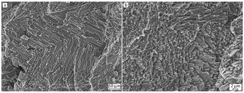 A Comparative Study of the As-Built Microstructure of a Cold-Work Tool ...