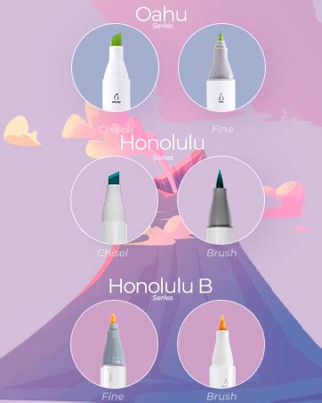 Ohuhu Double Tipped Alcohol Markers, Art Marker Set for Kids, Adults ...