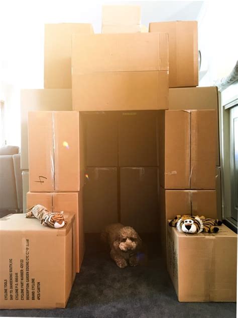 How to Build a Box Fort 的图像结果