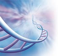 Biopharma Sector India| Government Regulations In India| Indian Biotech ...