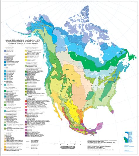 Ecological regions of North America - Vivid Maps