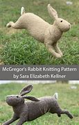 Image result for Rabbit Knitting Patterns