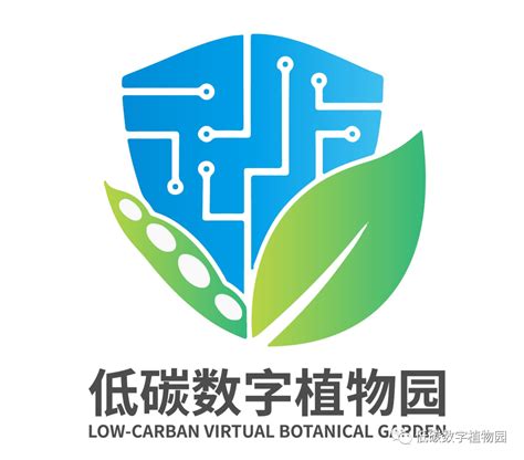 网站logo设计用什么软件好-logo设计师中文官网