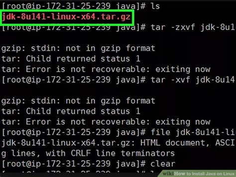 Image result for How to Install Java in Linux