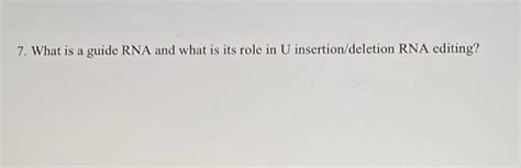 Guide RNA Function 的图像结果