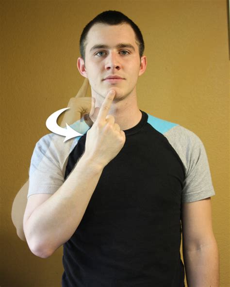 Image result for Beginning Sign Language