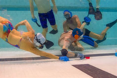 Underwater Hockey 的图像结果
