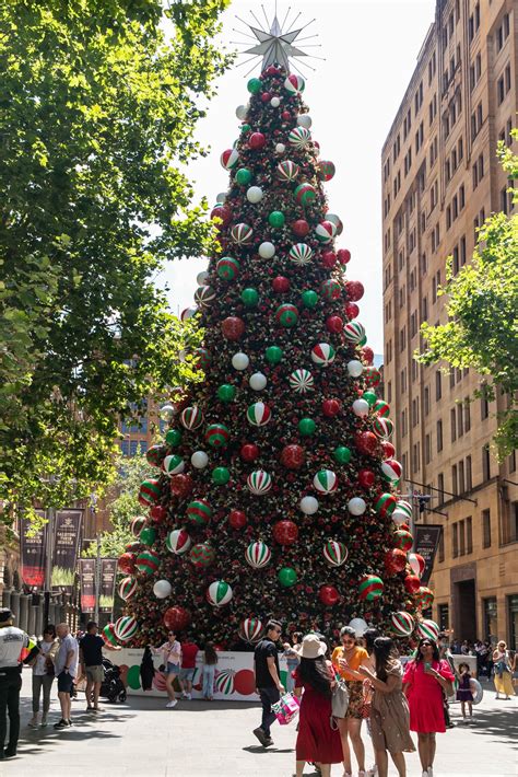 Image result for Multicultural Organisation