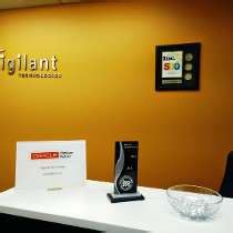 Working at Vigilant Technologies (USA) | Glassdoor