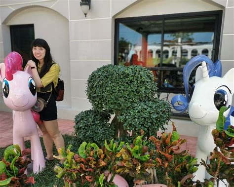 PIPO PONY CLUB - All You Need to Know BEFORE You Go 2026 (with Photos ...