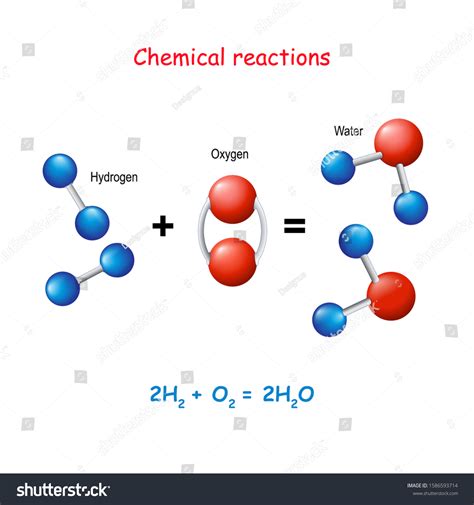 Reaction Hydrogen Oxygen New Compounds Water Stock Vector (Royalty Free ...