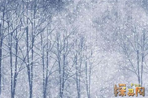 台北旅遊網 - #台大下雪了 #流蘇花正盛開 #雪一樣的流蘇花 #四月台北市居然下雪了 👀四月雪哪裡看👀...