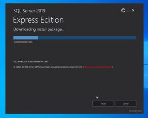 Install SQL Server Express 的图像结果