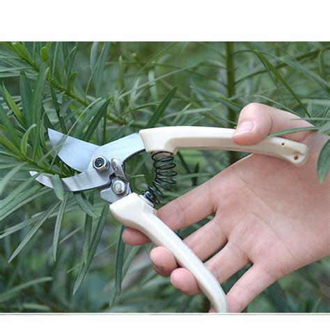 Stainless Steel Garden Pruning Sharpening Hand Pruner Snip Grass Flower ...