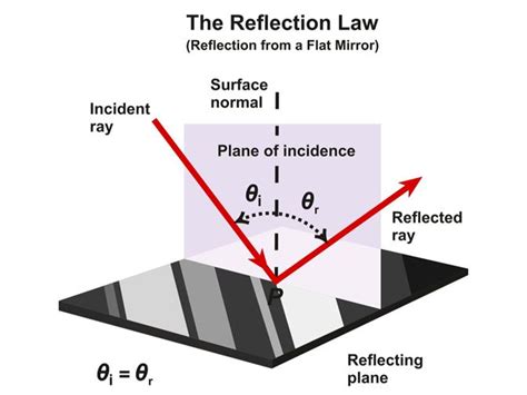 Types of reflection — lesson. Science State Board, Class 8.