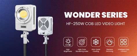 HF-250 250W Bi-Color Video Light for Content Creators – HIFFIN