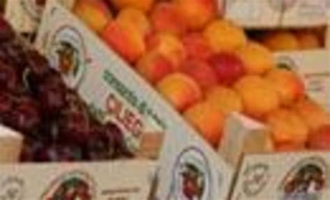 Bussolengo | Lake Garda Veneto