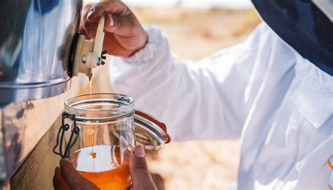 Melipona - Beekeeping and Honey Shop HTML Template