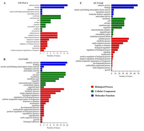IJMS | Special Issue : Recent Advances in Plant Molecular Science in ...