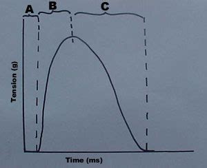 Image result for Myogram