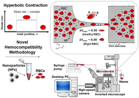 Recent Advances of PDMS In Vitro Biomodels for Flow Visualizations and ...