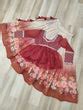 Gajri Elegant Floral Cosmos Print Lehenga Set with Embroider